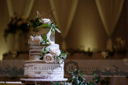 3 tier Naked Cake Design